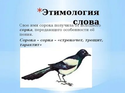 Сорока трех как пишется