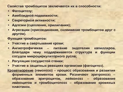 Способны к фагоцитозу амебоидному движению