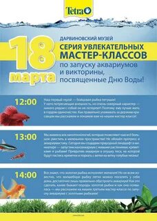 Тетра форум