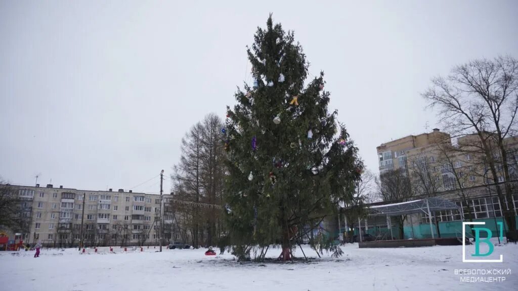 Погода в всеволожском районе на 14 дней