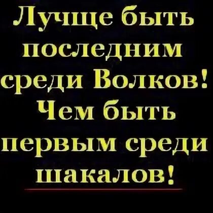 Первый среди последних текст. Лучше быть последним среди Волков. Лучше быть последним среди Волков чем первым. Лучше быть волком среди шакалов чем. Лучше быть последним среди Волков чем быть первым среди шакалов.