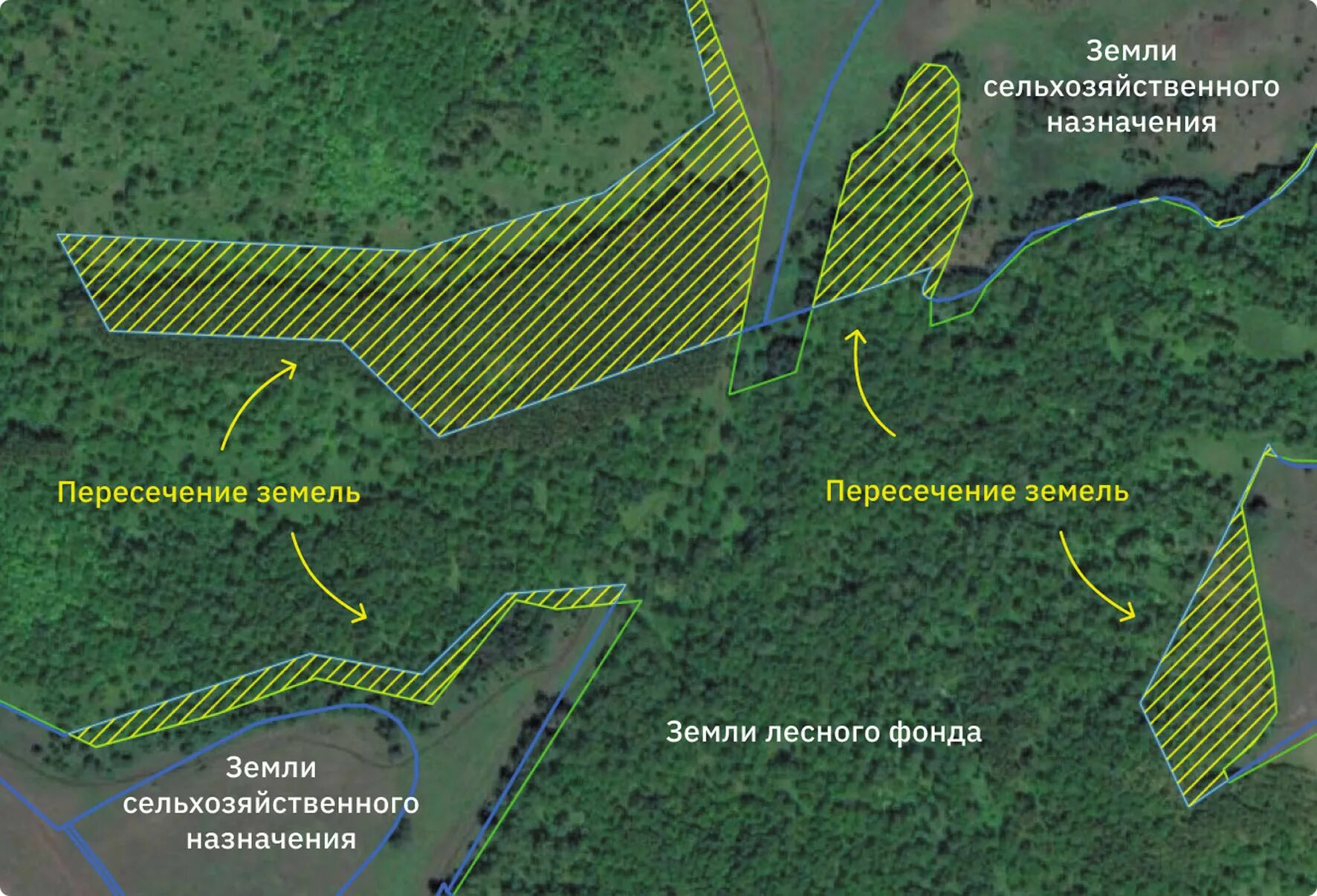 Земли лесного фонда. Пересечение земель лесного фонда. Границы земель лесного фонда. Земли ЛК лесного фонда. Карта участков лесничества