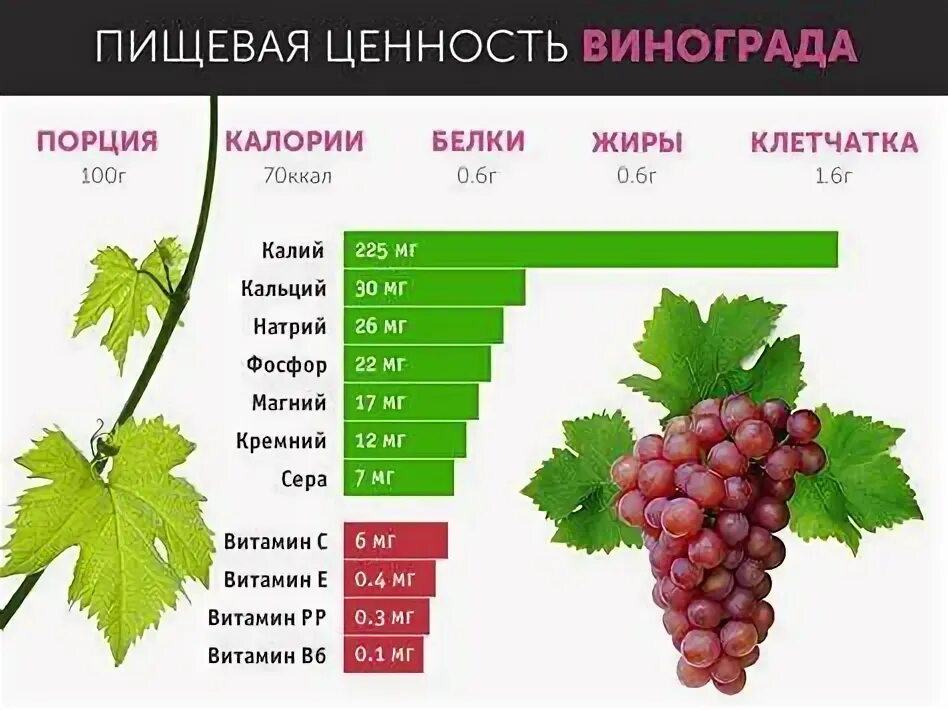 Виноград нельзя беременным. Виноград нельзя беременным. Диета зелёный виноград. Человек ест виноград. Почему собаке нельзя давать виноград.