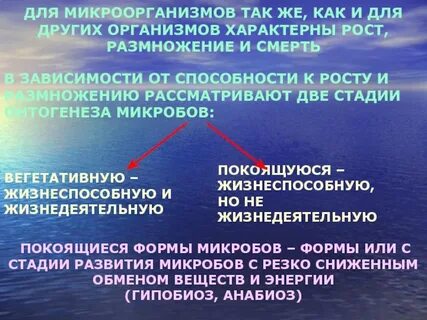 Вегетативные формы организмов