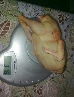 Вес тушки утки