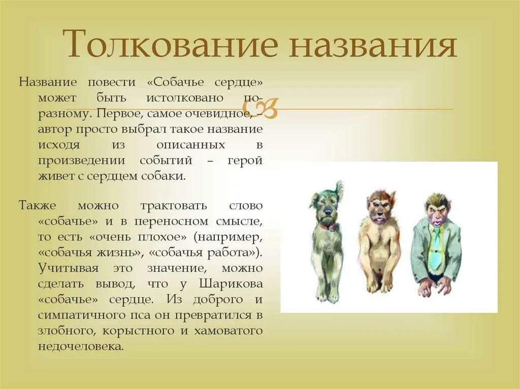 В чем заключается название произведения. Смысл названия произведения Собачье сердце. Почему повесть называется Собачье сердце. Смысл названия повести Собачье сердце. Смысл названия повести Собачье сердце Булгакова.