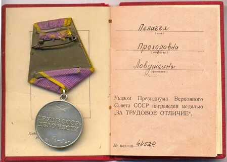 Трудовая медаль