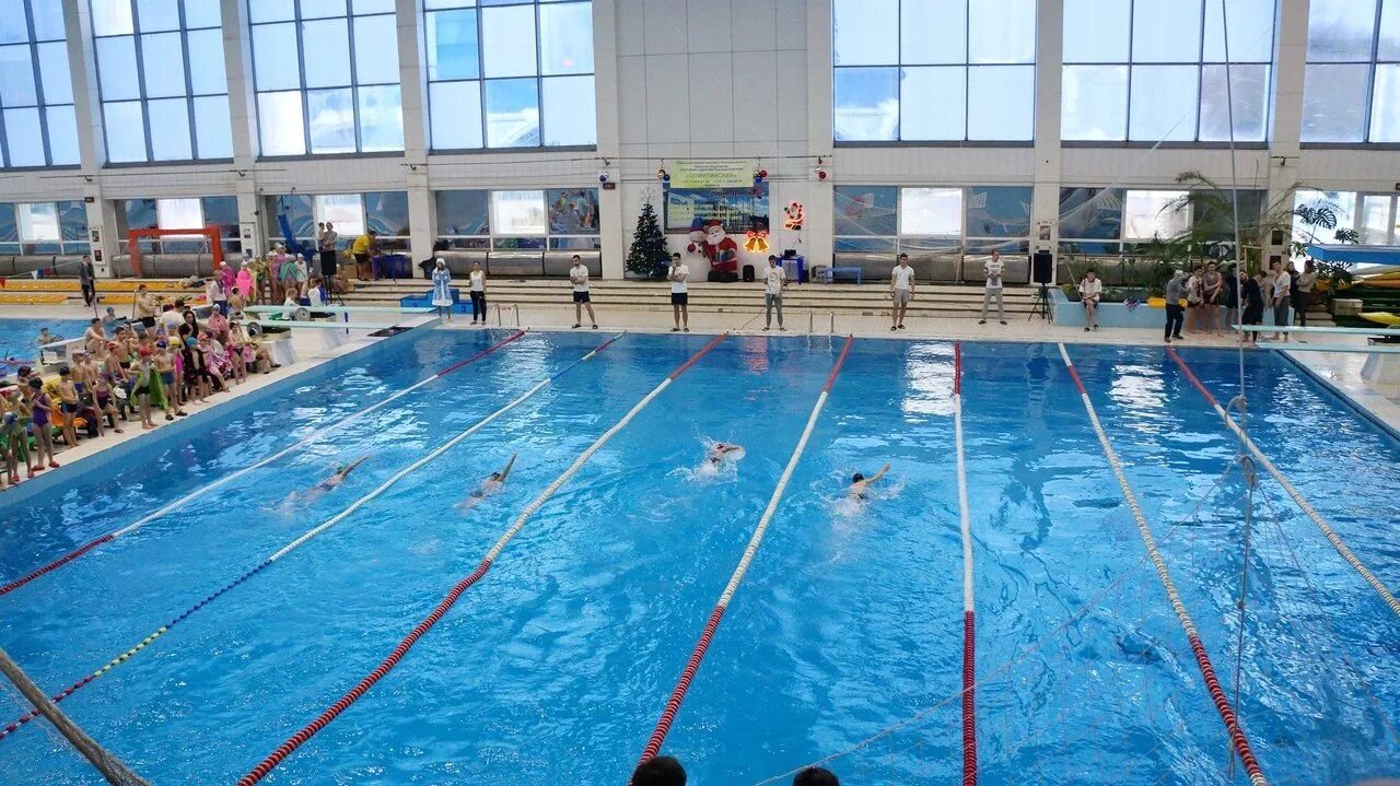 бассейн сок олимпийский минск. дворец спорта ванино бассейн. второе рождение бассейн водники. бассейн в янино. бассейн в янино.