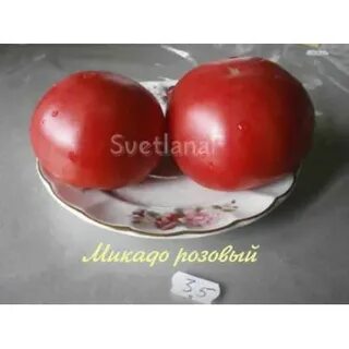 Характеристика томатов микадо розовый
