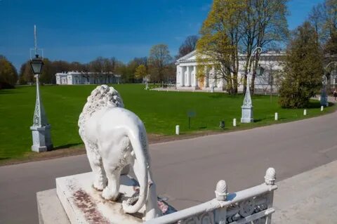 Елагин открыли