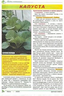 Дачные советы алтай