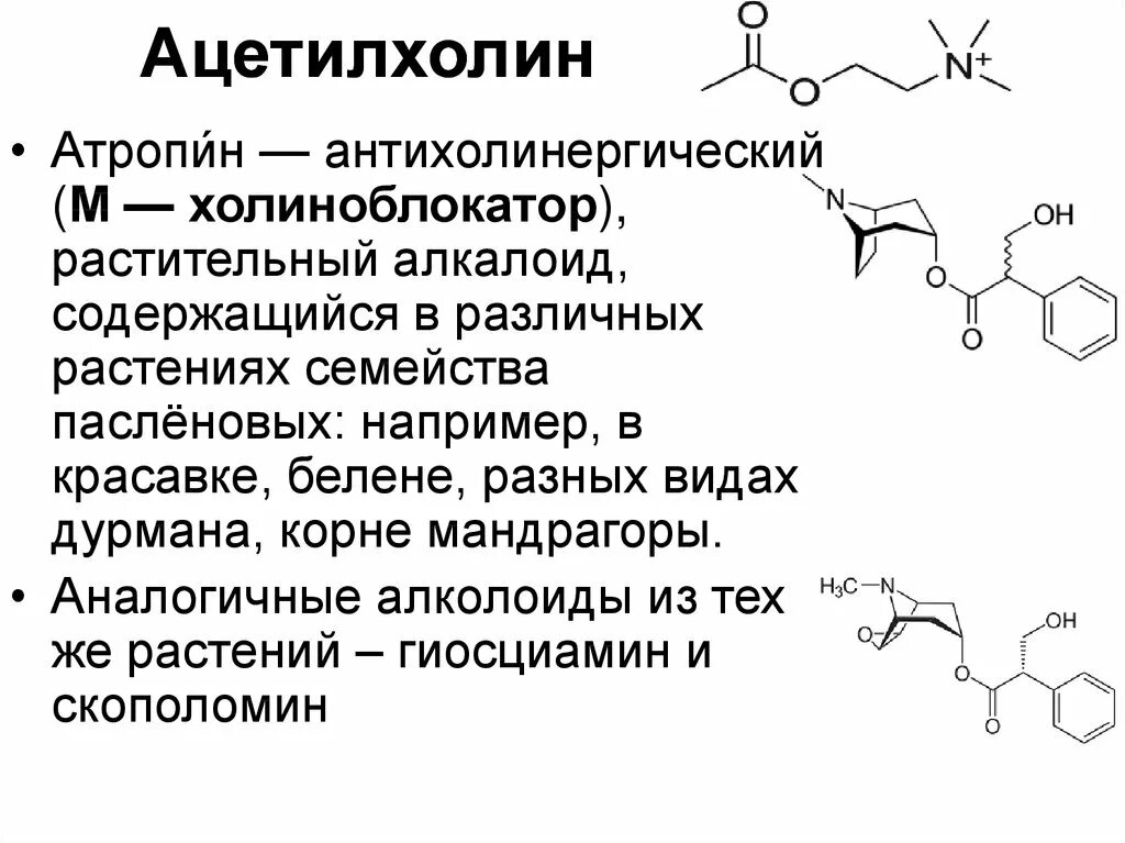 Ацетилхолин формула биохимия. Функции ацетилхолина биохимия. Ацетилхолин структурная формула. Синтез ацетилхолина биохимия.