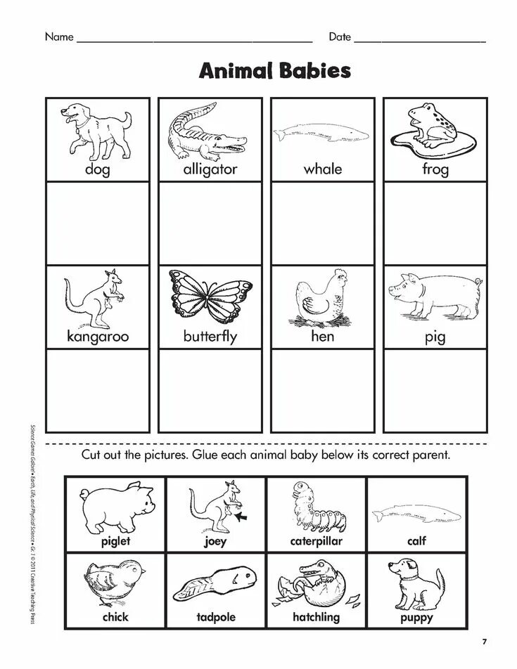 Животные worksheets. Животные и детёныши. Animals my mother. Whos baby or mother is it ? animals. Мама и малыш животные вектор.