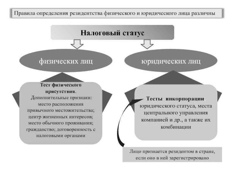 Налоговый статус юридического лица. Правовой статус физ лица. Налоговый статус физического лица. Критерии резидентства физических лиц.