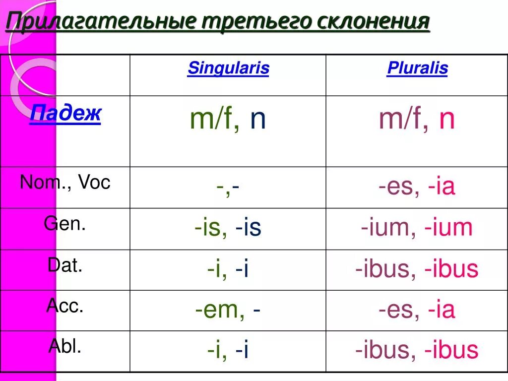 Склонение прилагательных 3 склонения в латинском языке. Склонение прилагательных латынь 3 склонение. Прилагательные 3 склонения латынь. Склонение прилагательных в латинском 3 склонение. Сирень склонение 3