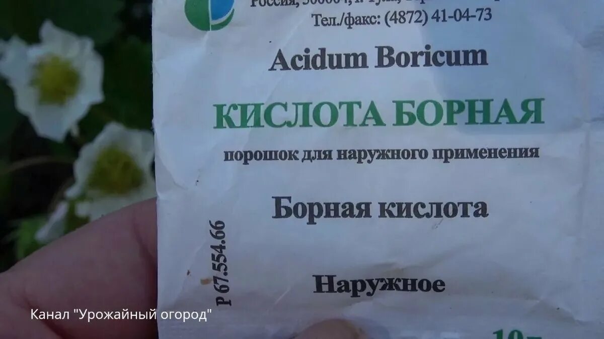 Как подкормить рассаду борной кислотой. Борная кислота. борная кислота удобрение для клубники. борная кислота для рассады. подкормка клубники борной кислотой.