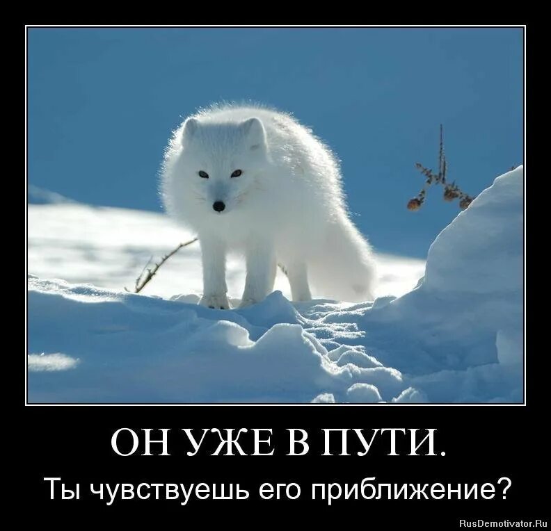 я уже устал завтра. завтра на работу я уже чувствую как устала. картинка как ощущается приход кота в пять утра. нытики прикольные. чувствую как я завтра устала.