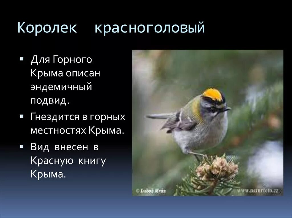 Красная книга России