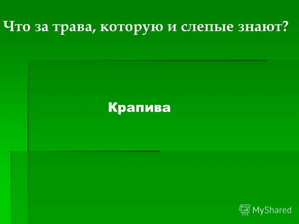 Что первым бросит слепой когда картинка. Слепой знал что в окно. Слепой знал что в окно. Слепой знал что в окно. Слепой знал что в комнату смотрит солнце.