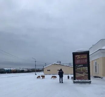 Не понимаю, зачем навсегда уезжать из Ухты? 2024 Доска позора/почета Ухта ВКонта