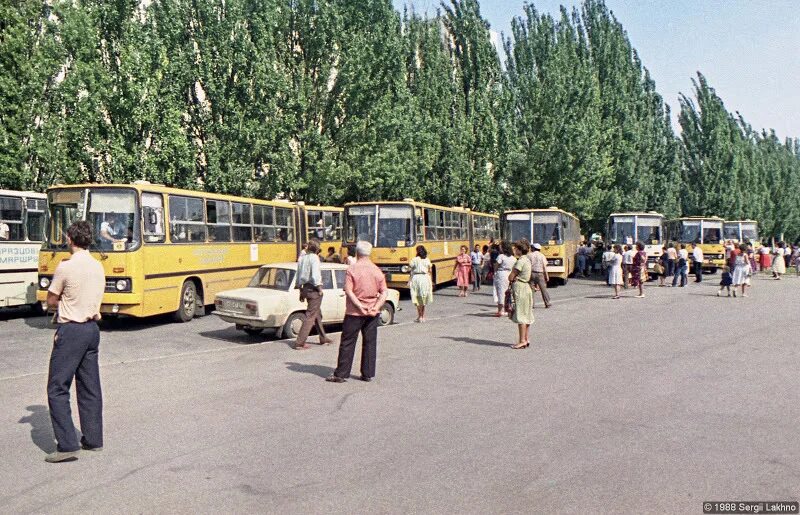 Автобус дол. Икарус Пионерский лагерь. Автобус Пионерский лагерь СССР. Пионерский лагерь СССР автобусы пионеров. Пионерский лагерь СССР Икарус.