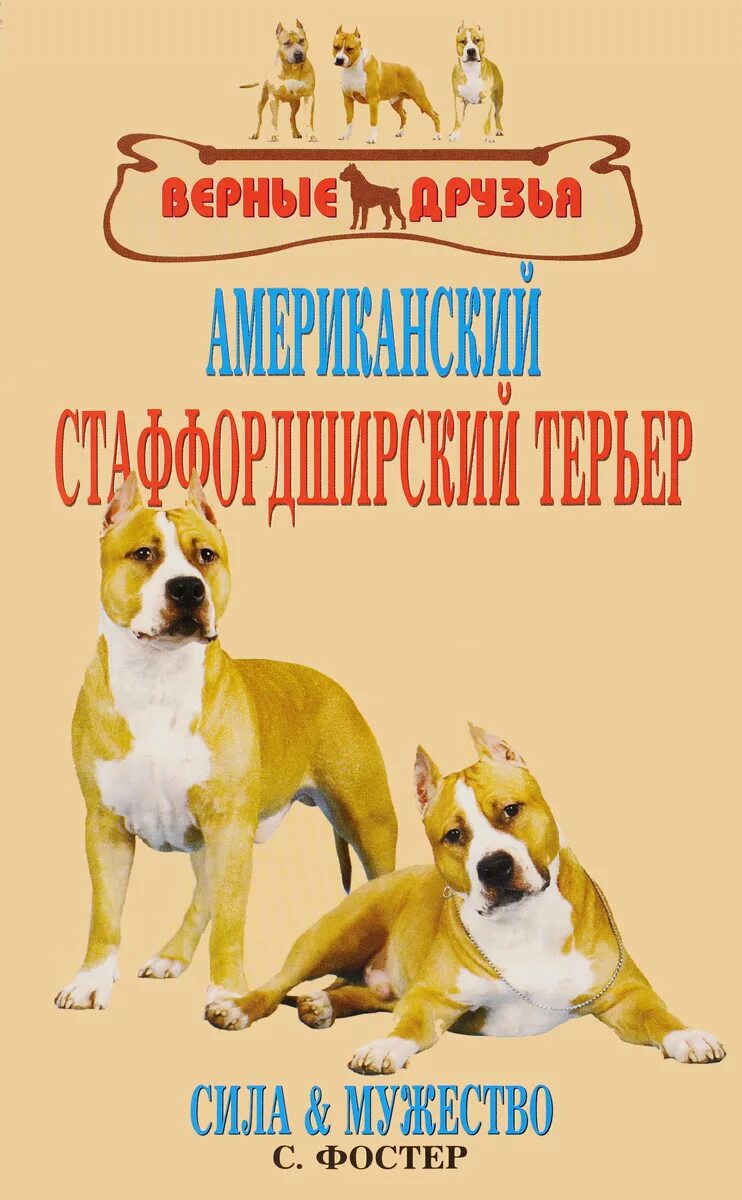 С. Стафф 4 книга. Американский стаффордширский терьер фостер. Книги стаффордширский терьер. Стаффорд книга.