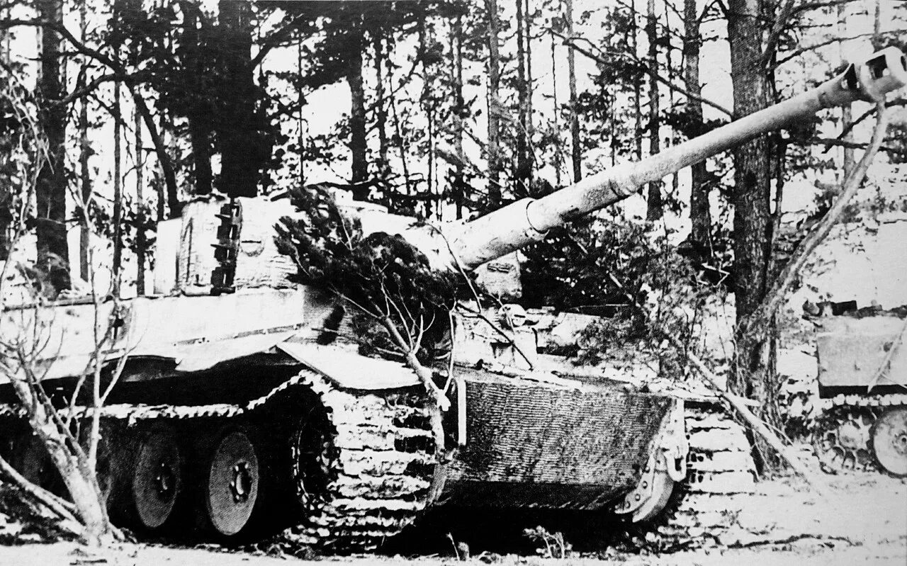 Танк тигр 1943 курская дуга. Танк батальона тигр. Танк тигр 502 танкового батальона. Танк батальона тигр. Тигр 1 505 тяжёлого танкового батальона.