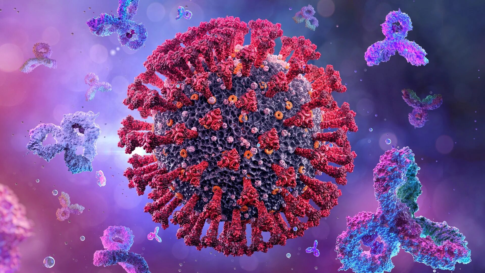 Коронавирус клетка. Вирус SARS-cov-2. Клетка вируса коронавируса. Т-клетки иммунной системы и антитела. Новый тип коронавируса