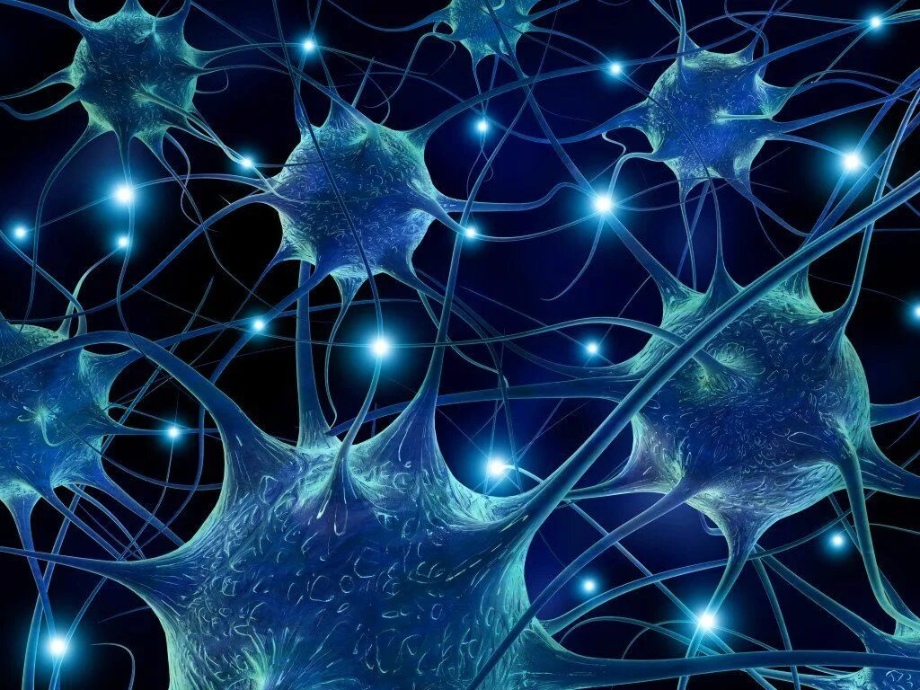 Нейронная клетка. Нейроны мозга. Нейроны фон. Нейронная сеть мозга.