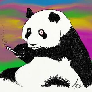 Panda meme