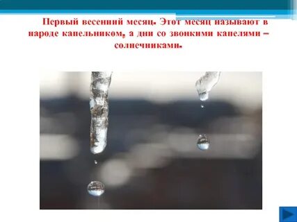 Звонкой капелькой текст