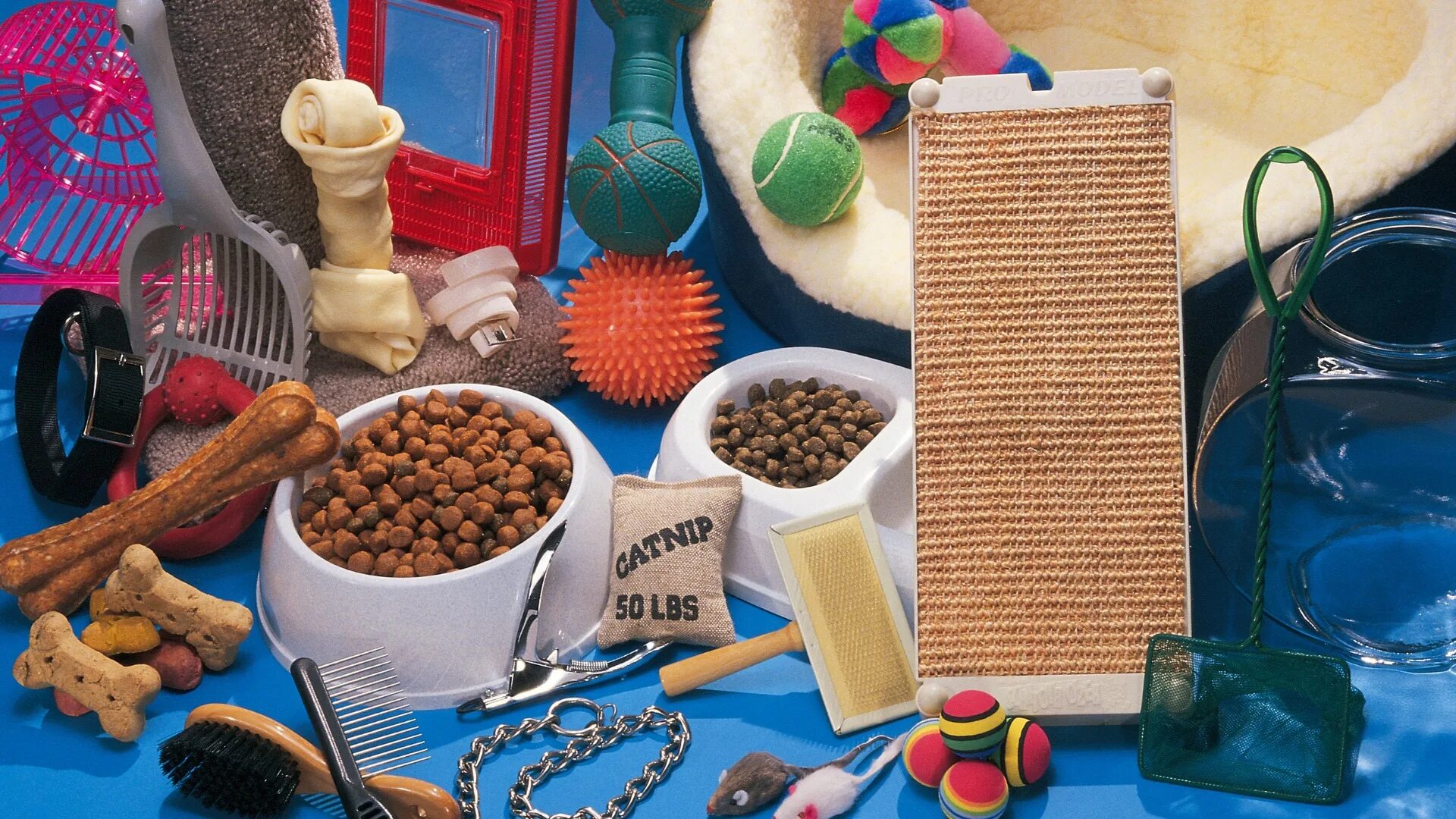 Вещи для собак. Pet Supplies. Pet Accessories. @Pet..Supplies ТИКТОК.