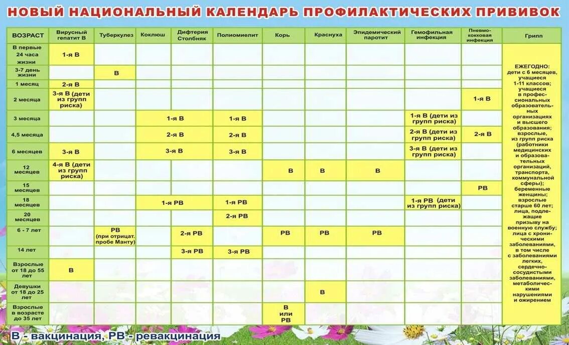 Национальный календарь прививок 06.12 2021. Прививки против кори календарь прививок. Корь прививка календарь прививок. Национальный календарь прививок корь краснуха. Краснуха прививка календарь прививок.