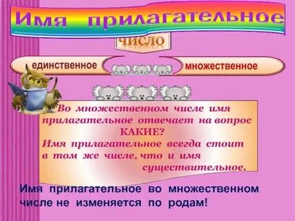 Род прилагательного во множественном числе как определить