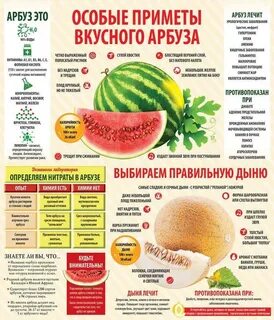 Можно ли потолстеть от арбуза