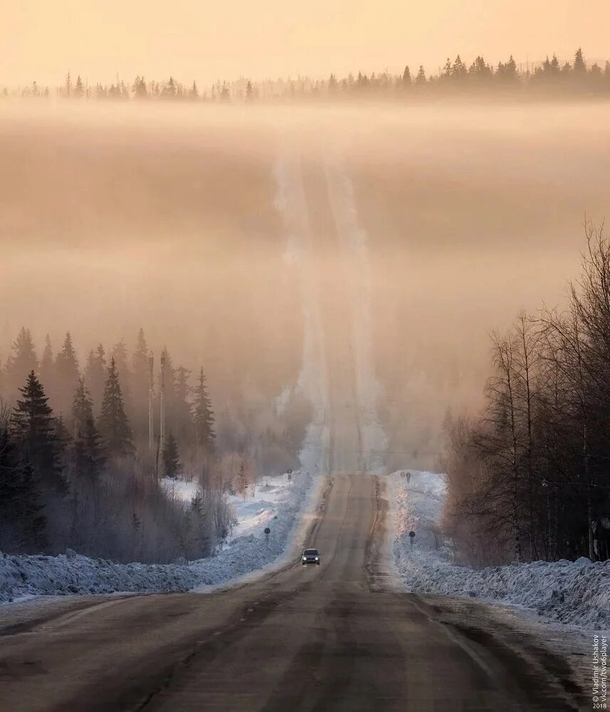 Зима дорога. Туман зимой. Туман зимой на дороге. Туманная дорога.