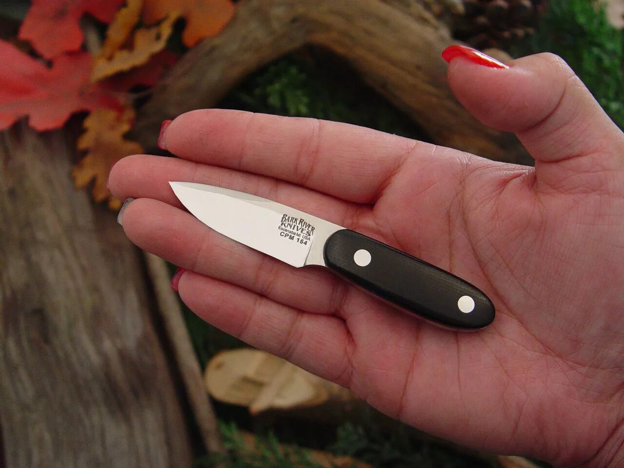 Купить мини нож. Bark нож раскладной. CRKT Kilbuck Signature нож. Маленький нож. Маленький складной нож.