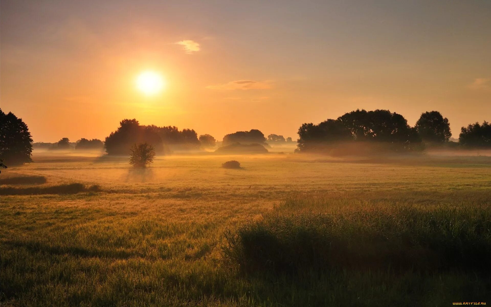 Утро называться. Рассвет в поле. Раннее утро. Ранний закат. Утреннее поле в тумане.