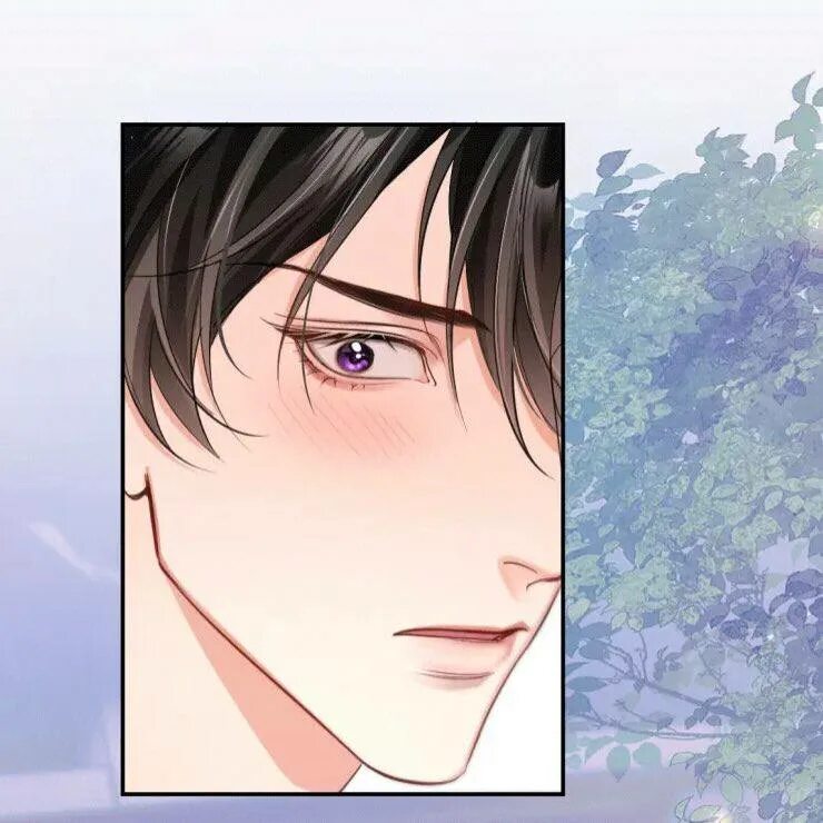 Хаски и его учитель кот новелла. Манхва хаски и его учитель белый. Новелла хаски и его учитель белый. Хаски и его учитель белый кот маньхуа. Хаски и его учитель белый.