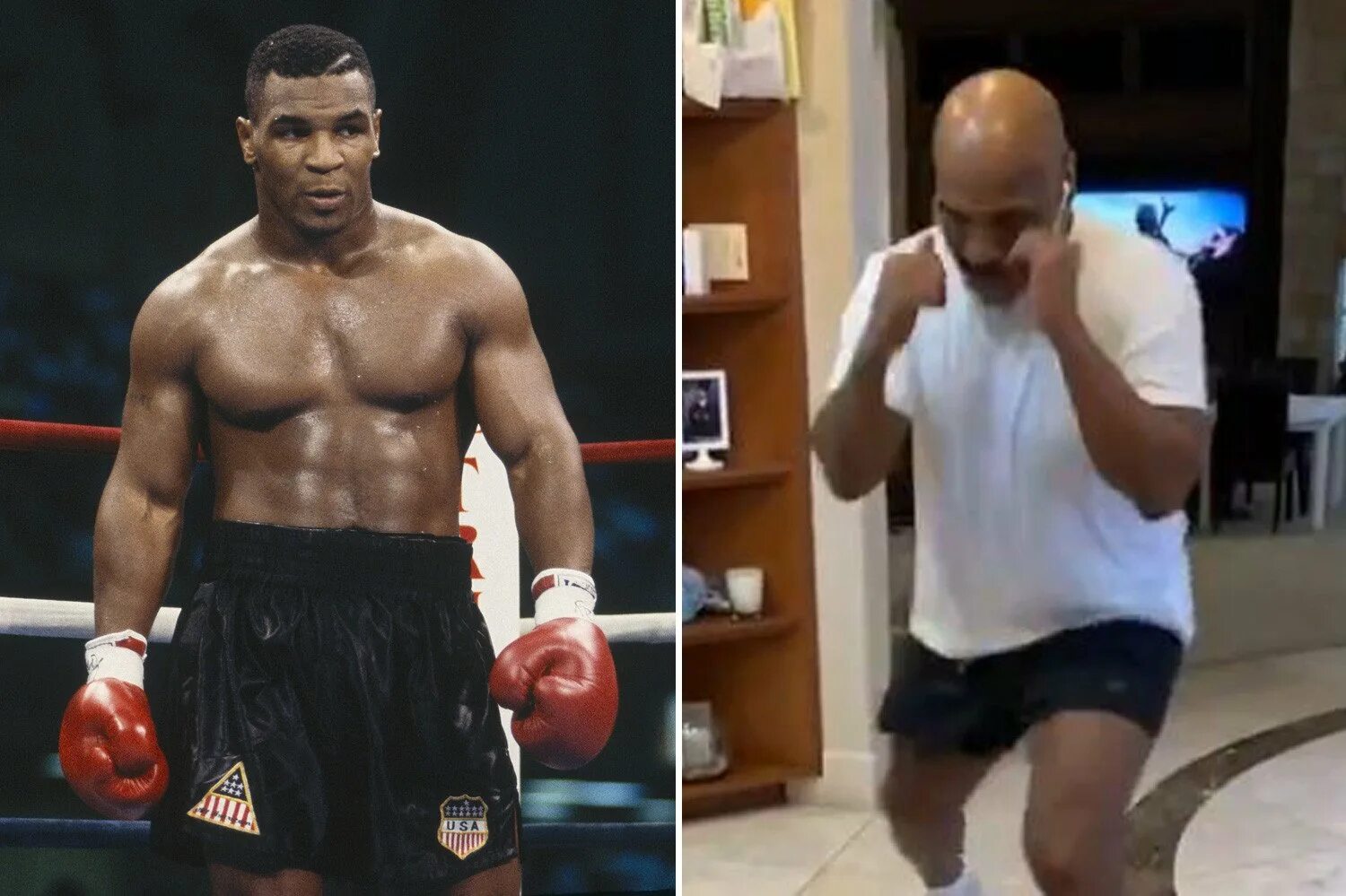 Майк тайсон сколько карьера. Майк тайсон сколько карьера. Майк тайсон рост и вес в 20. Майк тайсон фото. Майк тайсон сколько карьера.