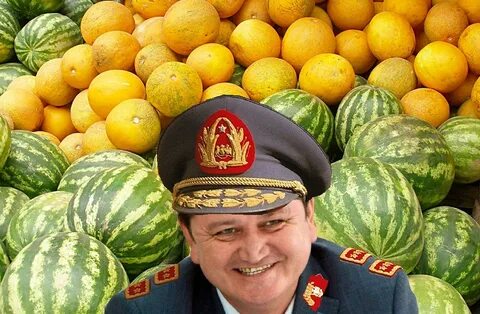 Дыни партнер