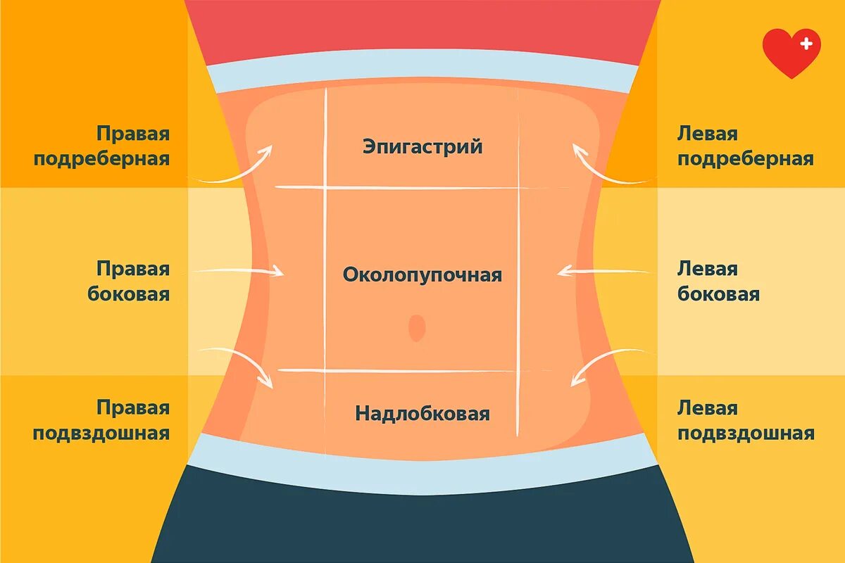 Области живота. Болит в области живота. Болит живот в эпигастральной области. Боль в подложечной области. Почему болит живот где