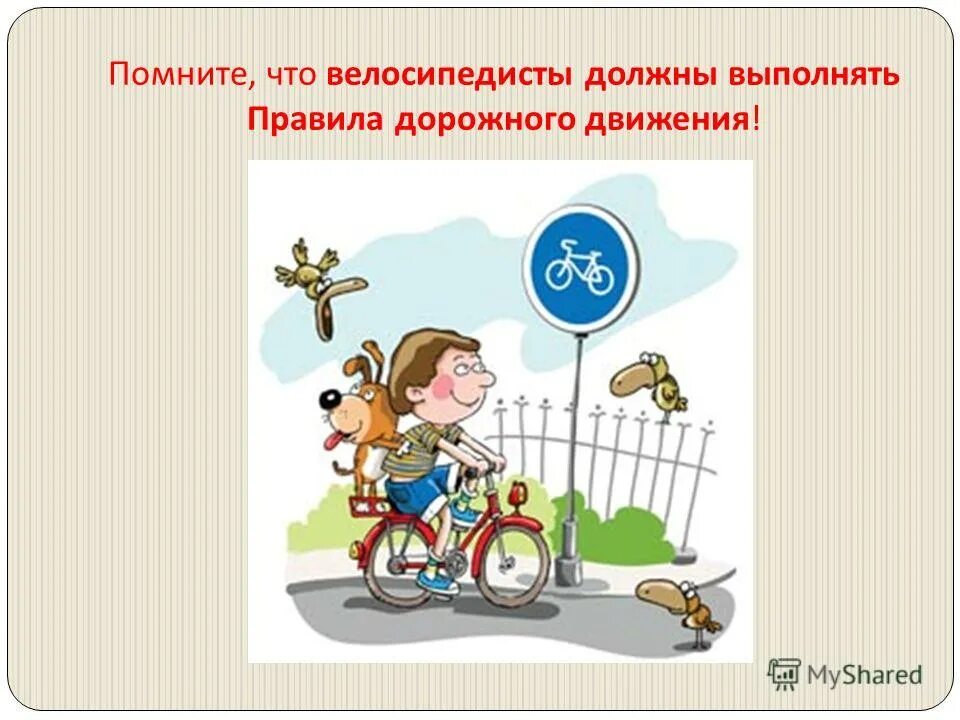 модели поведения пешеходов велосипедистов. велосипедист на дороге. движение мопедов по проезжей части. пешеходы должны двигаться по тротуарам. лица ведущие в руках велосипед должны двигаться.