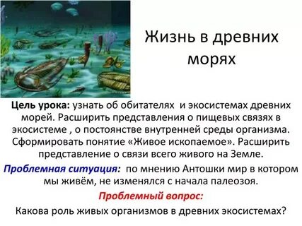 Понятие живое