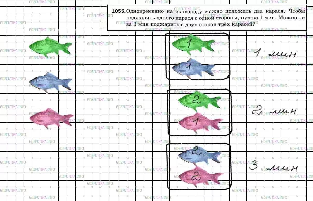 Одновременно на сковородку можно положить 2 карасей. Номер 1055 по математике 5 класс. Одновременно на сковороду можно положить 2 карася. Математика номер 1055 5 класс караси.