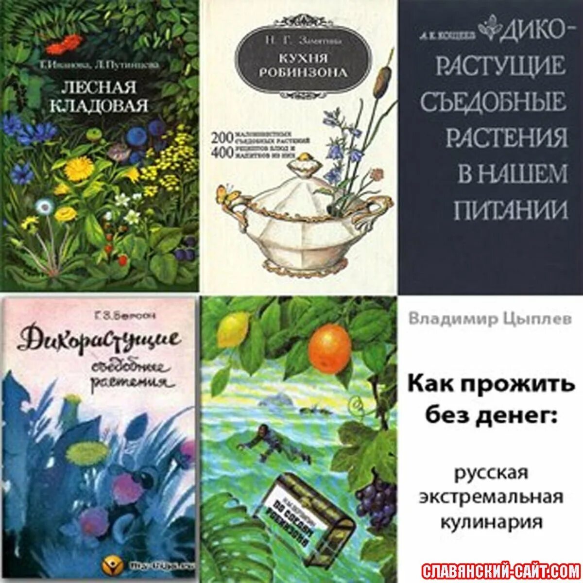 Кухня робинзона. Берсон дикорастущие съедобные растения книга. Книга о съедобных растениях. Пищевые растения книга. Съедобные Дикие растения книга.