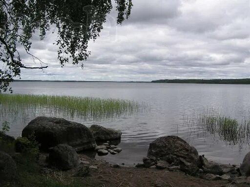 Погода в красноозерном ленинградская область на неделю