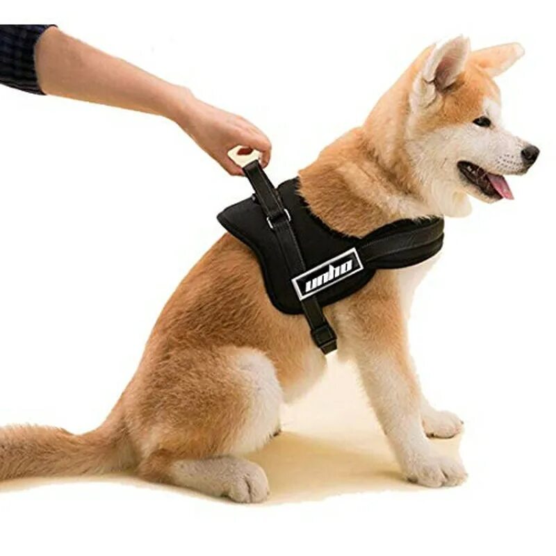 Шлейка нейлоновая tractive force. Кожаная амуниция для собак. Шлейка nunbell vest xs, 30-42см. Шлейка коллар для собаки. 6/2+шлейка) коньячный (аркон).