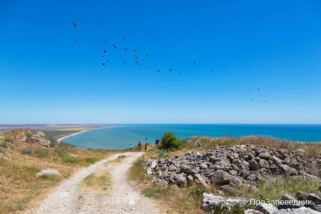 Опукский заповедник в крыму где находится