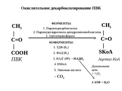 Молекулы пвк